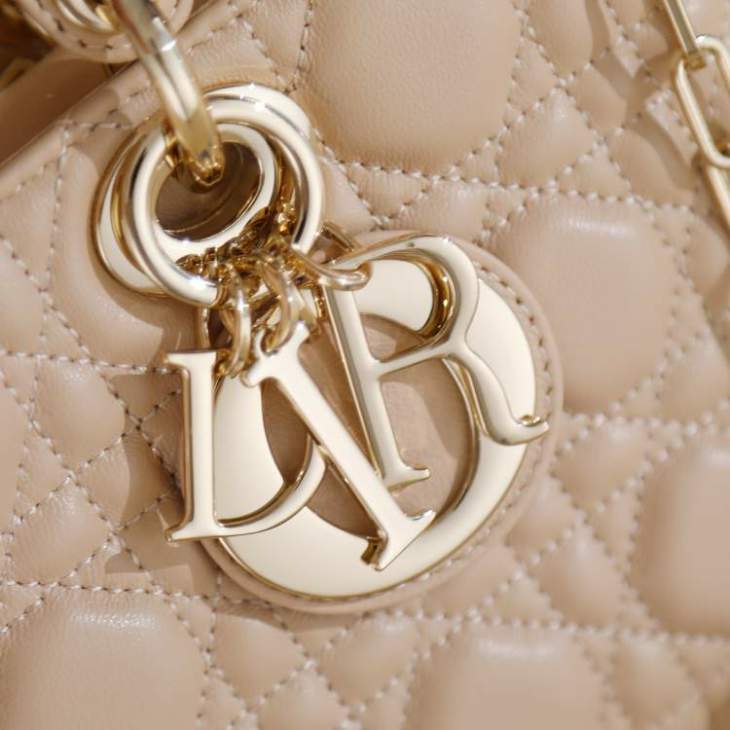 Picture of Dior Handbags _SKUfw239214901fw